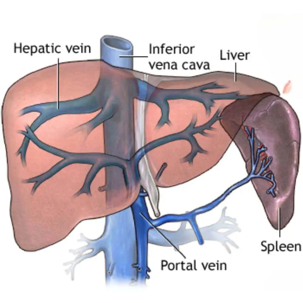 Gastrointestinal interventional radiology imaging care